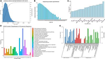 Transcriptome and Metabonomics Analysis Revealed the Molecular Mechanism of Differential Metabolite Production of Dendrobium nobile Under Different Epiphytic Patterns